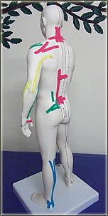 Kinesiologie Tapes