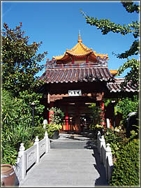 Traditionelle chinesische Medizin
