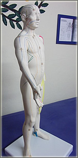 Traditionelle chinesische Medizin - TCM