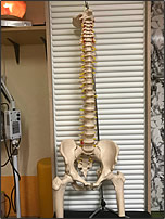 Wirbelsäulentherapie